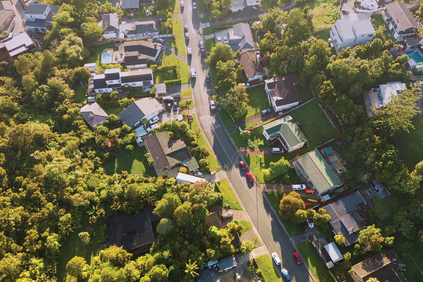 REINZ March 2025 Data: Seasonal Shift Brings Market Lift